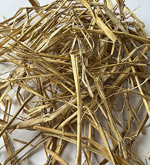 稲藁